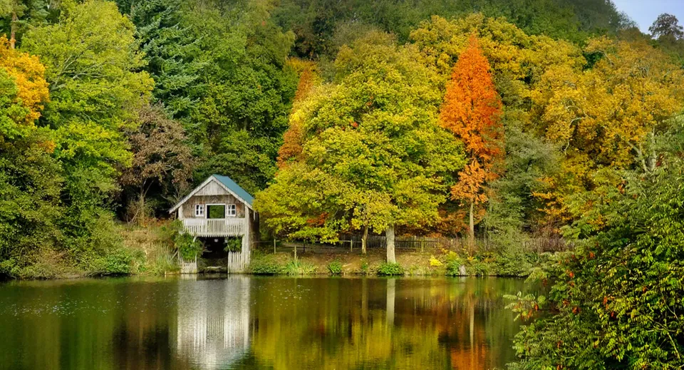 Una piccola capanna di legno sorge accanto a un tranquillo laghetto nel campus della King Edward's Witley School coi suoi colori autunnali.