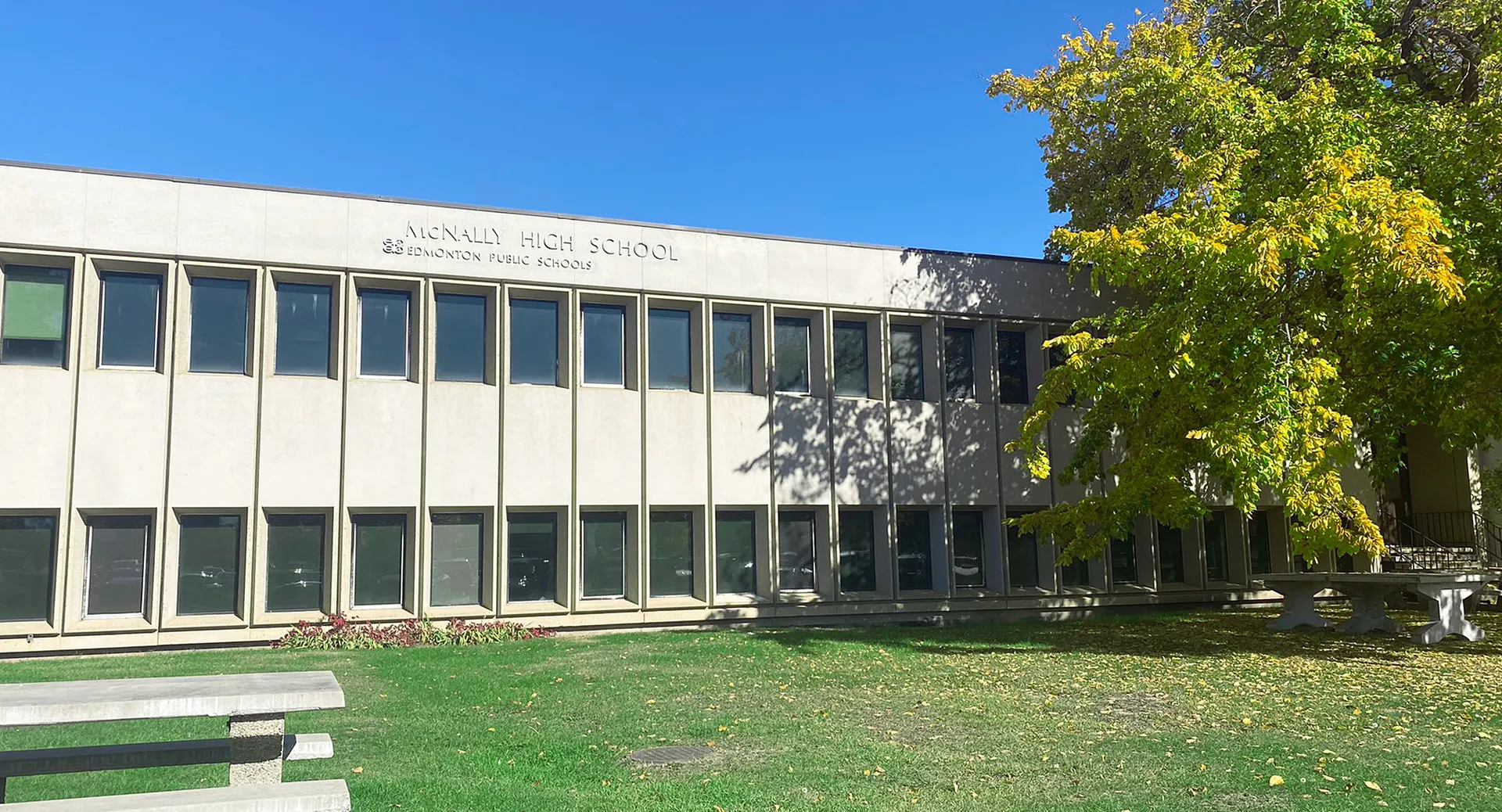 L'edificio moderno a più piani della McNally High School è circondato da una verde vegetazione sotto un cielo blu.