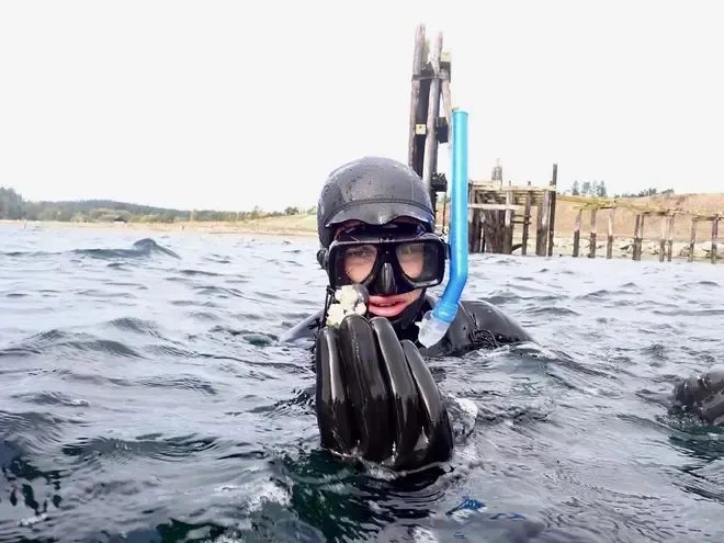 Una persona con equipo de buceo nada cerca de un muelle en el recinto de la Spring Street International School.