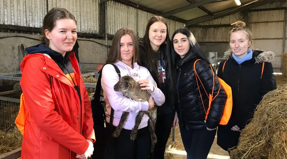 Cinque studentesse della Coláiste Mhuire si trovano in una stalla e una di loro tiene in braccio un piccolo agnello.