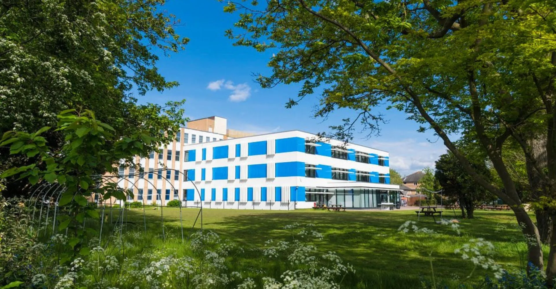 L'edificio moderno del college CATS Cambridge con facciata bianca e blu è circondato da un prato verde e alberi.