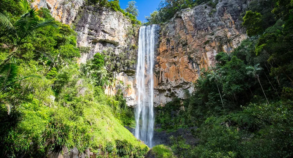 Una cascata scende lungo una parete rocciosa con una rigogliosa vegetazione, nei dintorni della Brisbane State High School.