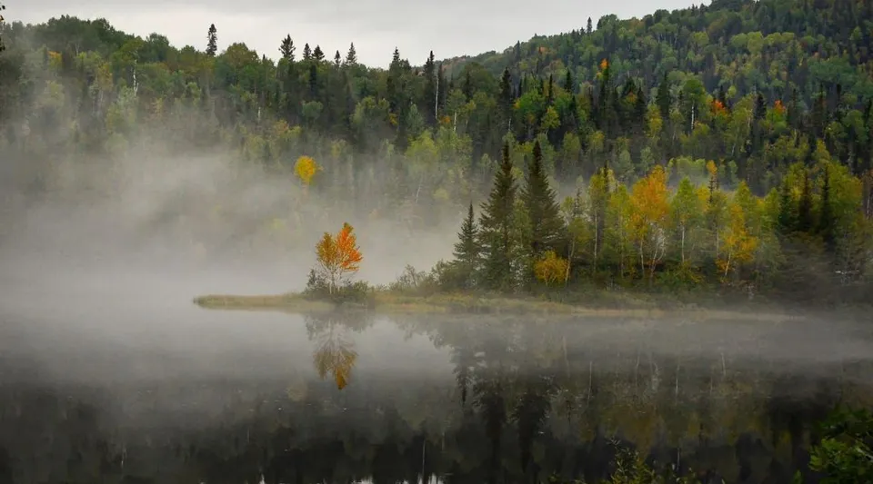 Un lago tranquillo con bosco misto circostante vicino alla Gravenhurst High School con tempo nebbioso.