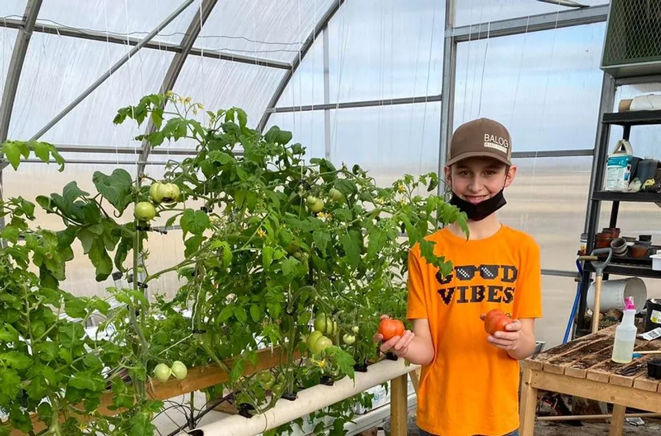 Uno studente della Senator Gershaw School tiene in mano due pomodori all'interno di una serra con piante di pomodoro.
