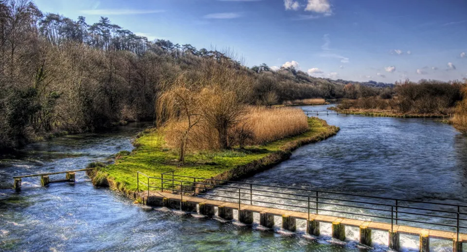 Un fiume tranquillo scorre attraverso un paesaggio boschivo nella proprietà del Portsmouth College.