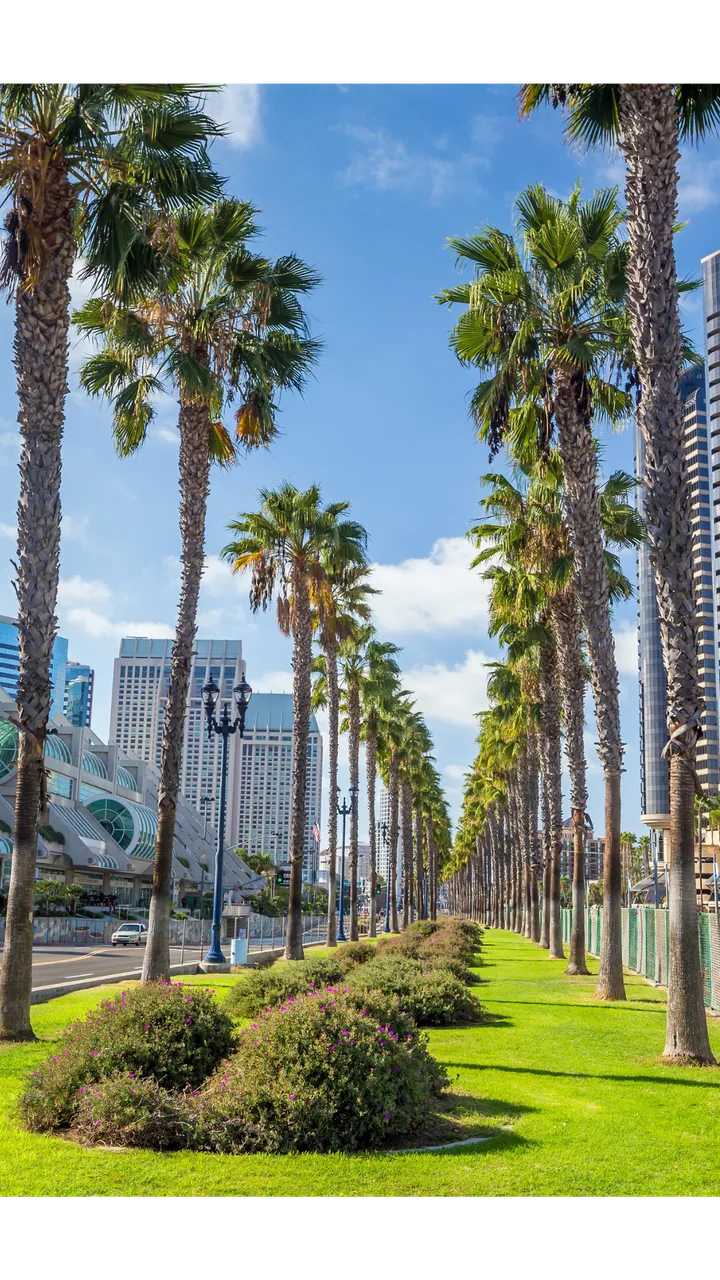 San Diego: full day