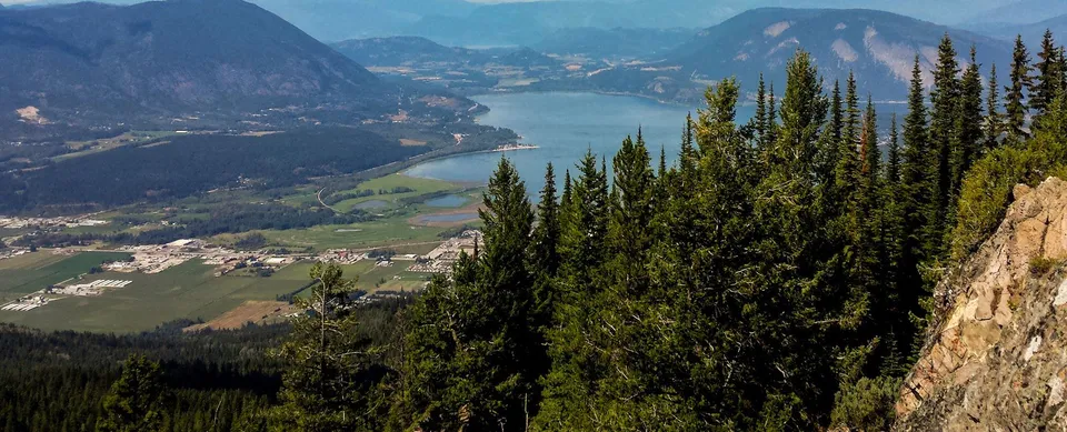 Un verde paesaggio boschivo con un lago e montagne sullo sfondo vicino alla Salmon Arm Secondary.
