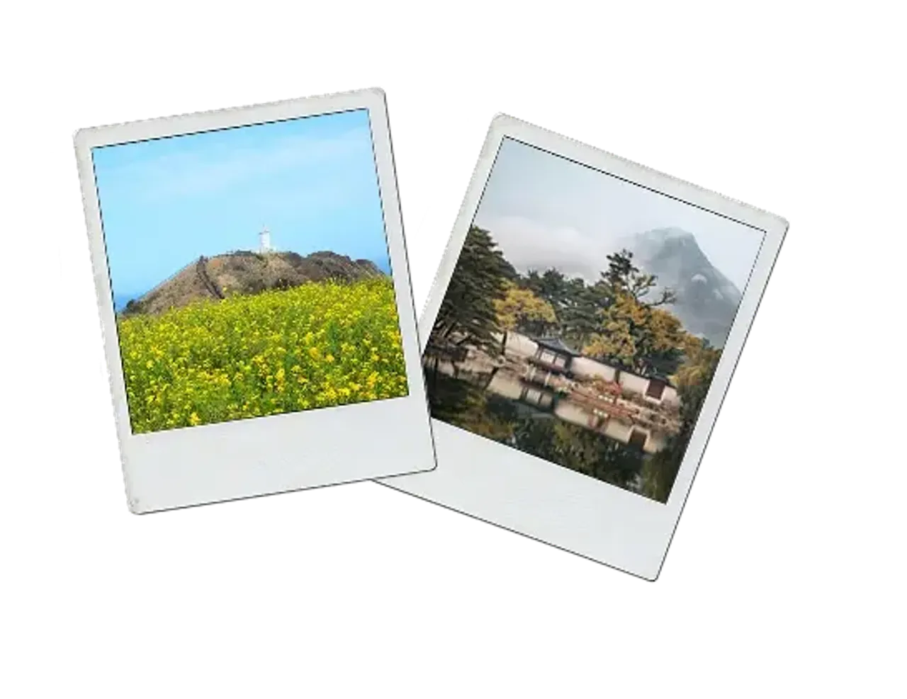 Due foto polaroid con un campo di fiori gialli e un padiglione coreano tra le montagne