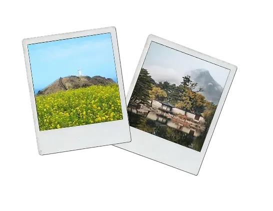 Due foto polaroid con un campo di fiori gialli e un padiglione coreano tra le montagne