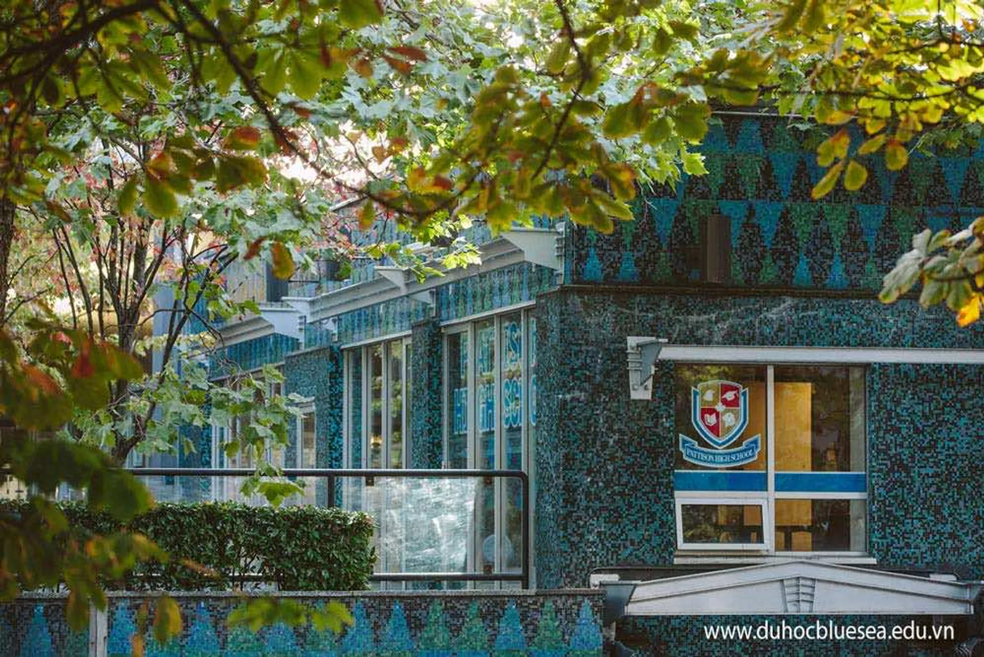 L'edificio con facciata in vetro nel campus della Pattison High School è circondato da un verde lussureggiante.