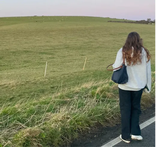 Mädchen von hinten mit Blick auf einen grünen Hügel mit Schafen an einer Straße in England
