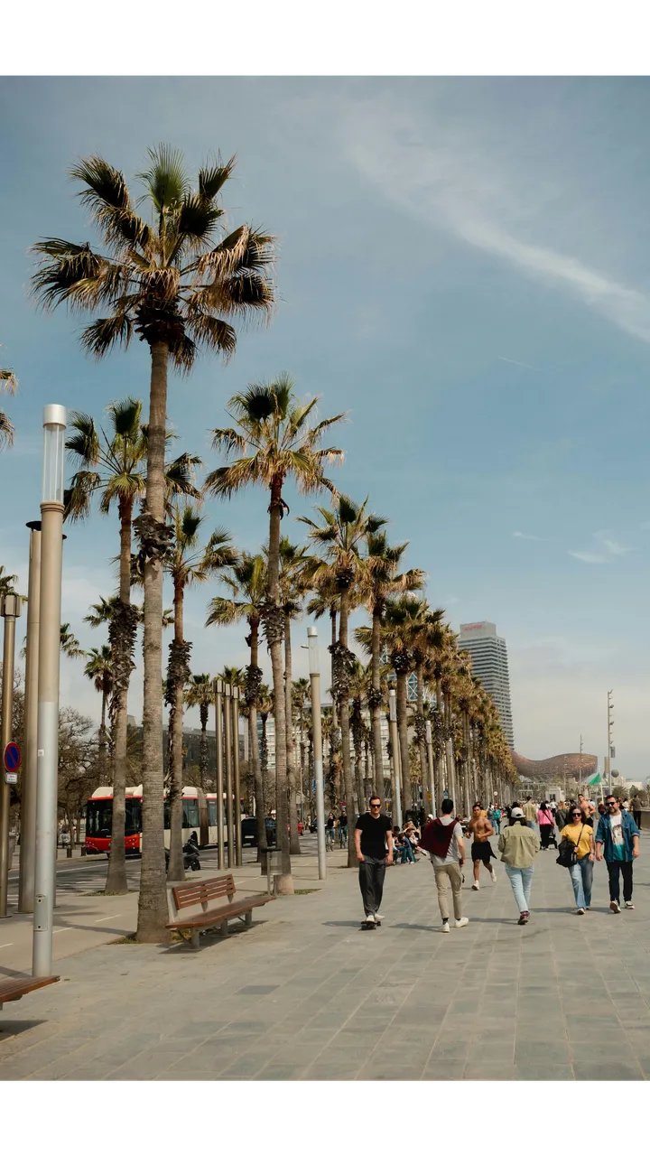 Quartiere Gotico, Santa Maria del Mar, Born e Barceloneta: mezza giornata