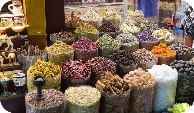 Leben als Schüler in Dubai