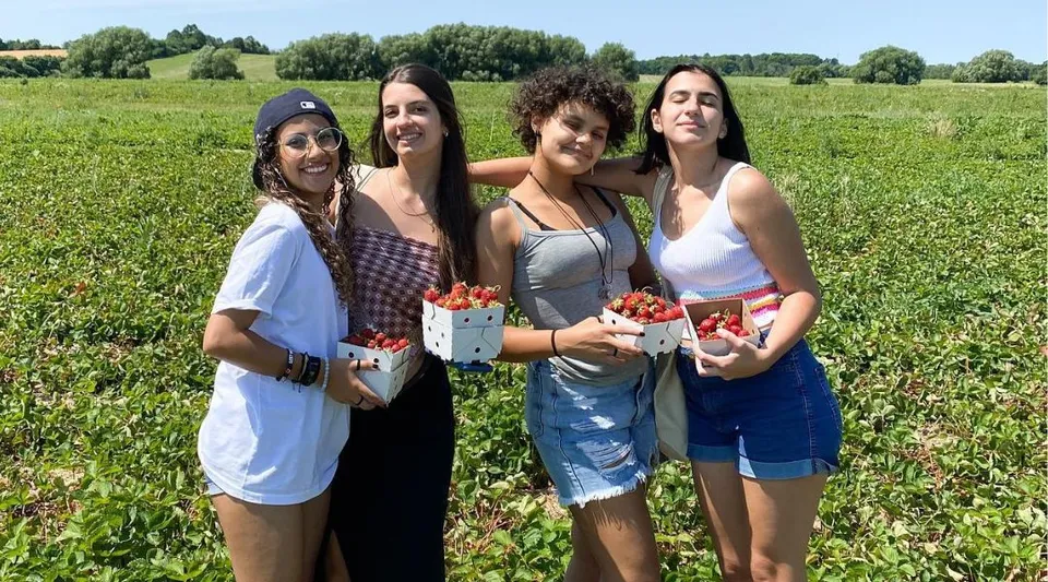 Quattro studentesse della William Academy sono in piedi in un campo e tengono in mano cestini di fragole fresche.