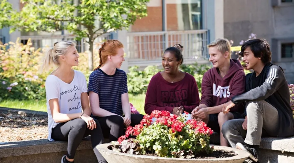 Un gruppo di studentesse della Beaconsfield High School siede su una panchina da giardino circondata da fiori colorati e piante verdi.