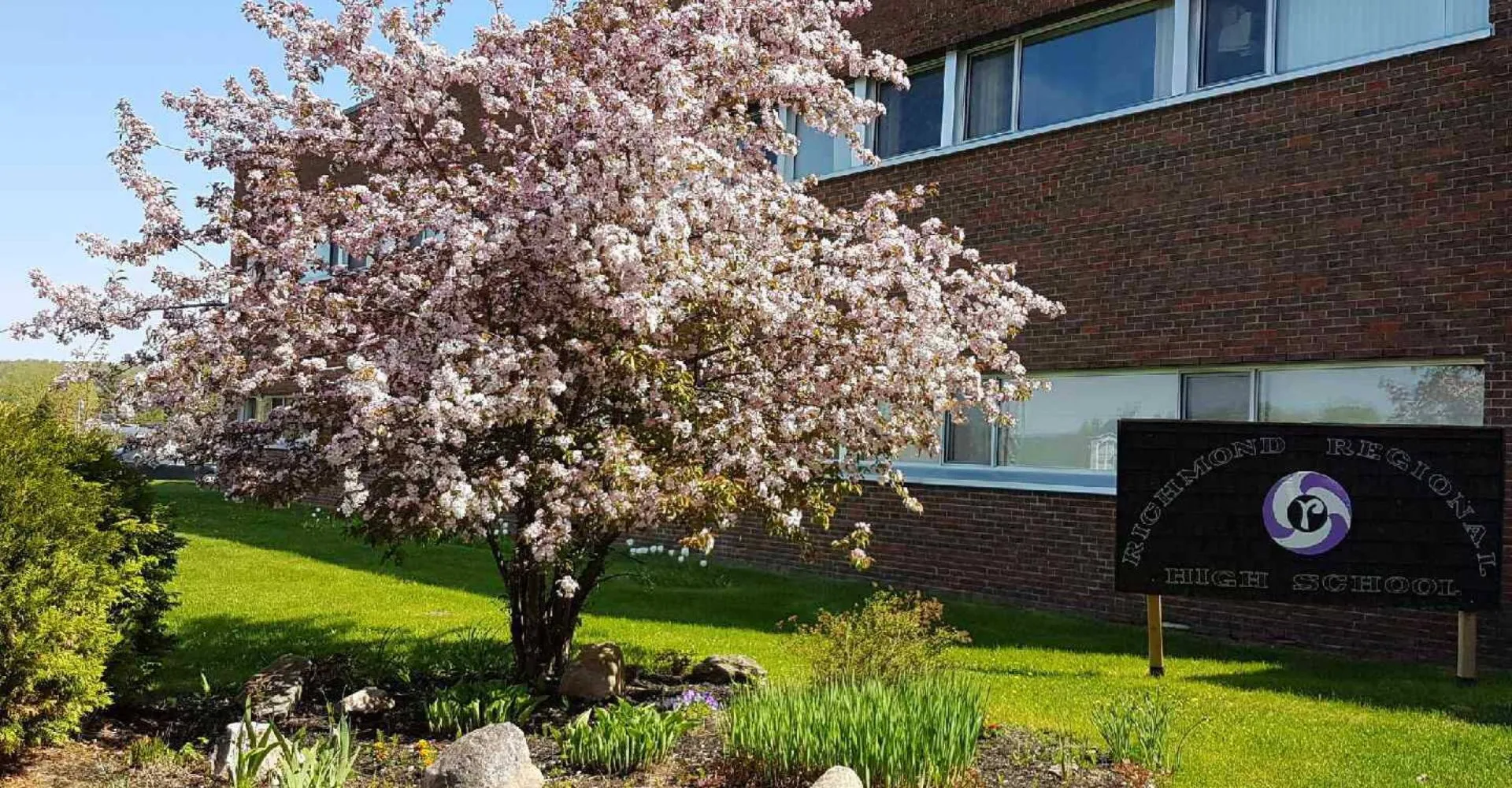 Un ciliegio in fiore si trova davanti all'edificio in mattoni della Richmond Regional High School.