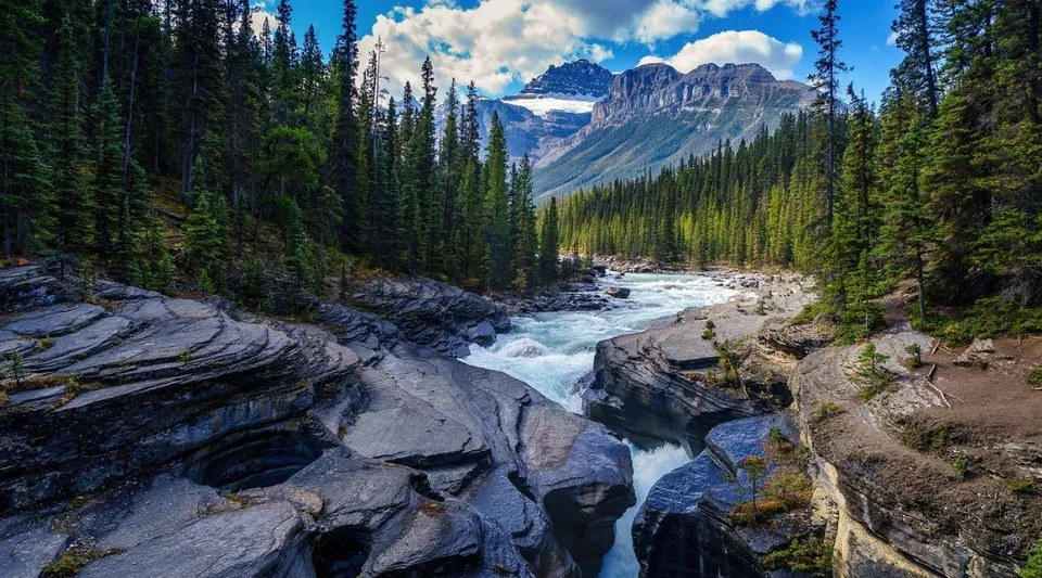 Un fiume scorre attraverso una gola rocciosa circondata da un bosco di pini e montagne sullo sfondo.