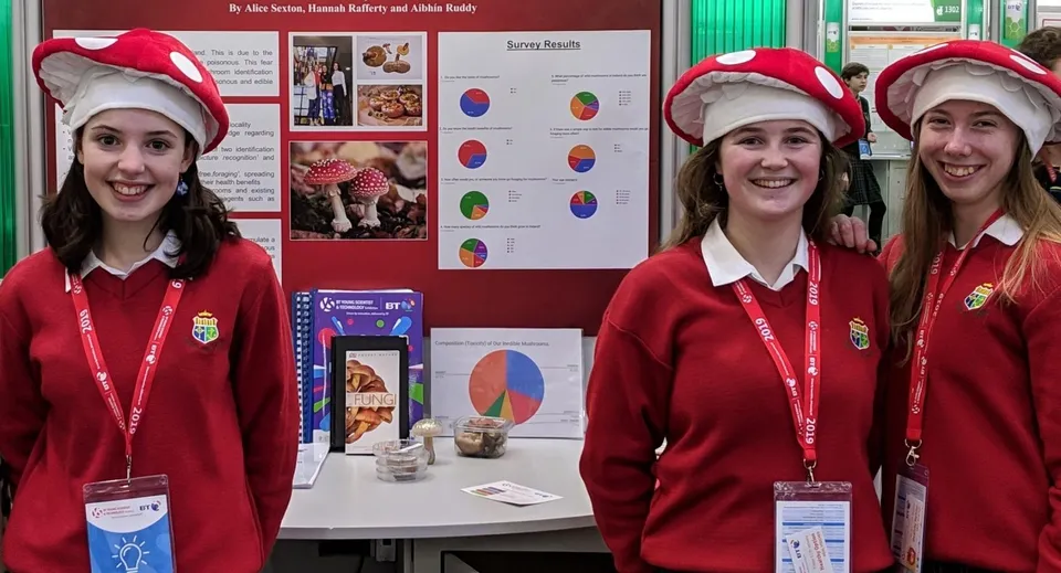 Tre studentesse della Sacred Heart Secondary School Clonakilty in divisa rossa e cappelli da Babbo Natale stanno davanti a una bacheca informativa.
