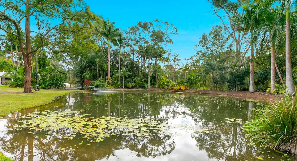 Un tranquillo laghetto con alberi e vegetazione si riflette nell'acqua all'interno del campus del Sheldon College.