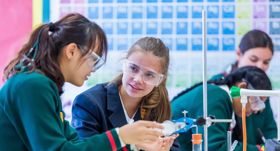 Studenti e studentesse del St. Francis' College lavorano insieme a un progetto scientifico in classe.