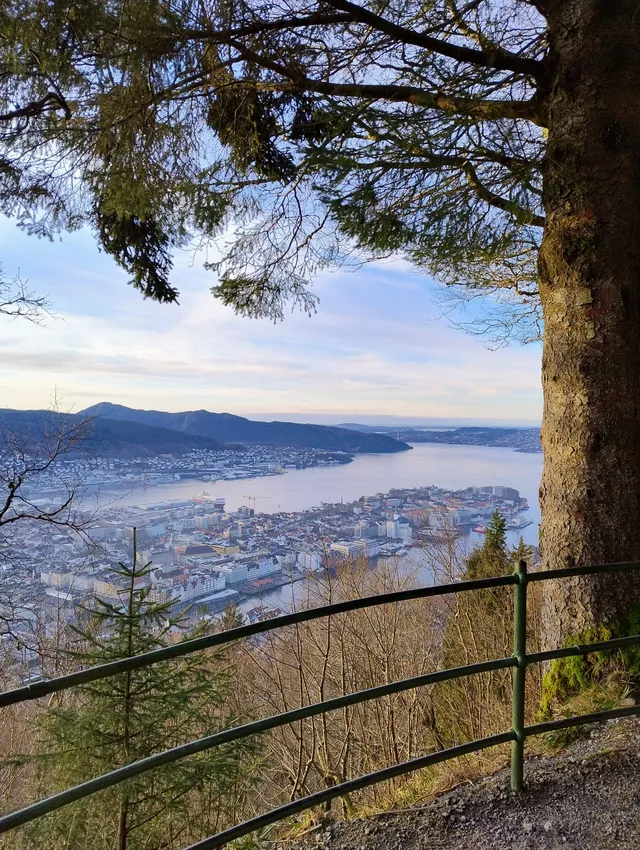Veduta dall'alto di una città portuale scandinava affacciata sul fiordo, incorniciata dagli alberi