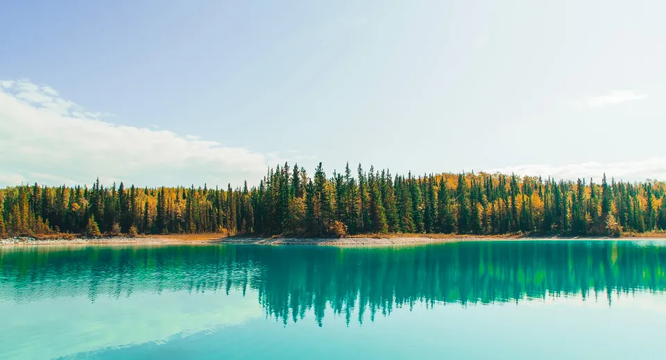 Un lago calmo con un bosco dai variopinti colori autunnali riflette il paesaggio nella proprietà della Delview Secondary School.