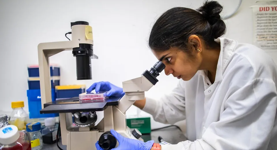Uno studente della Stevenson School esamina qualcosa al microscopio in laboratorio.