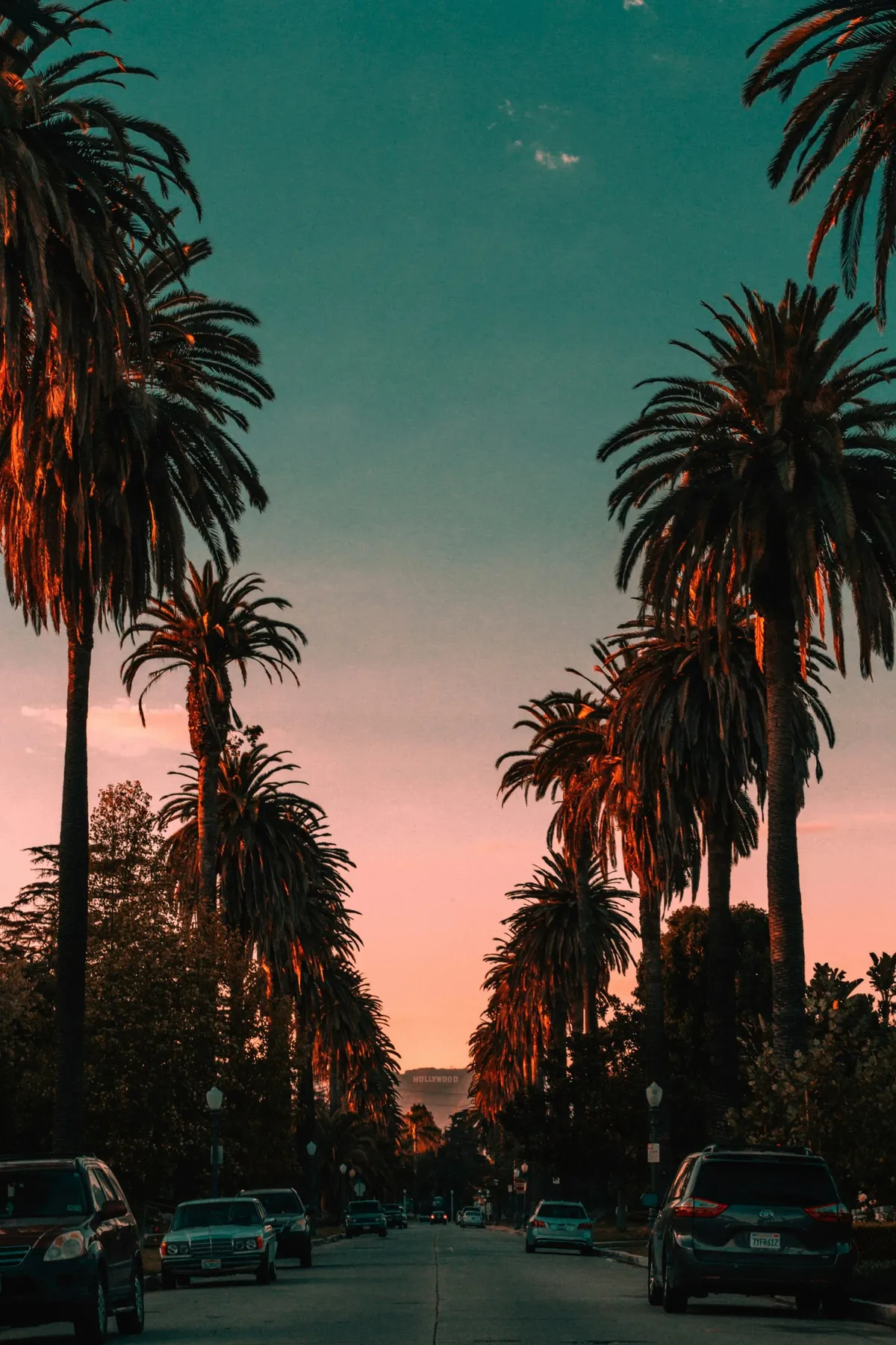 Viale di Los Angeles fiancheggiato da alte palme con il cielo rosa al tramonto