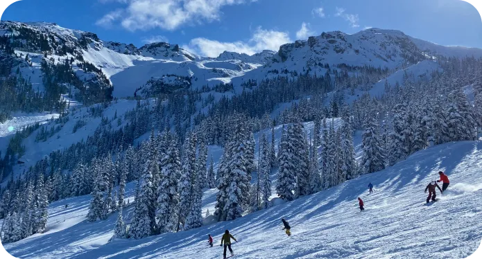 Esquiadores bajando una pista rodeada de abetos nevados y montañas