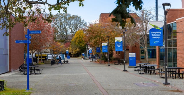 Der gepflasterte Campusweg des Camosun College umgeben von Backsteingebäuden, herbstlichen Bäumen und blauen Schildern.