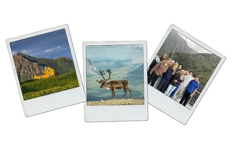 Polaroid-Collage: Die norwegische Kultur erleben