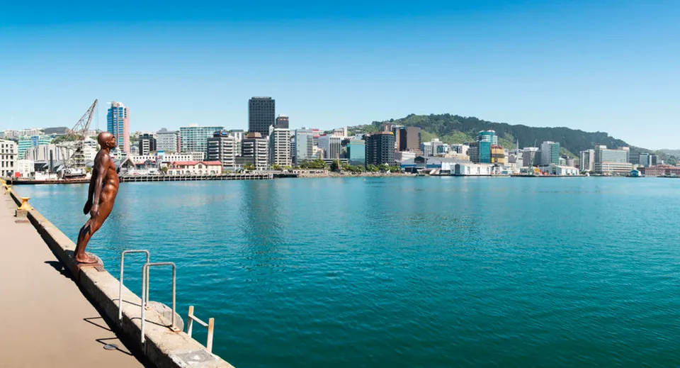 Paesaggio con grattacieli e uno specchio d'acqua vicino al Wellington East Girls’ College.