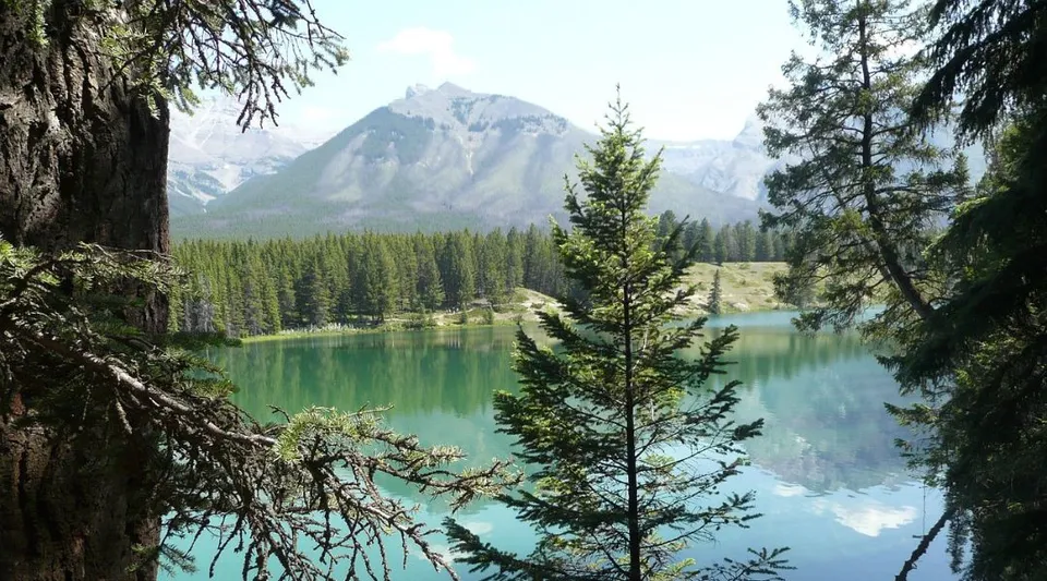 Un lago alpino con montagne e bosco di conifere nelle vicinanze della Westwood Collegiate.