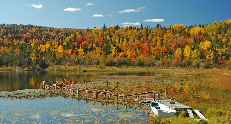 Un lago tranquillo con un bosco autunnale e un pontile mostra il paesaggio naturale vicino alla Fraser Heights Secondary School.