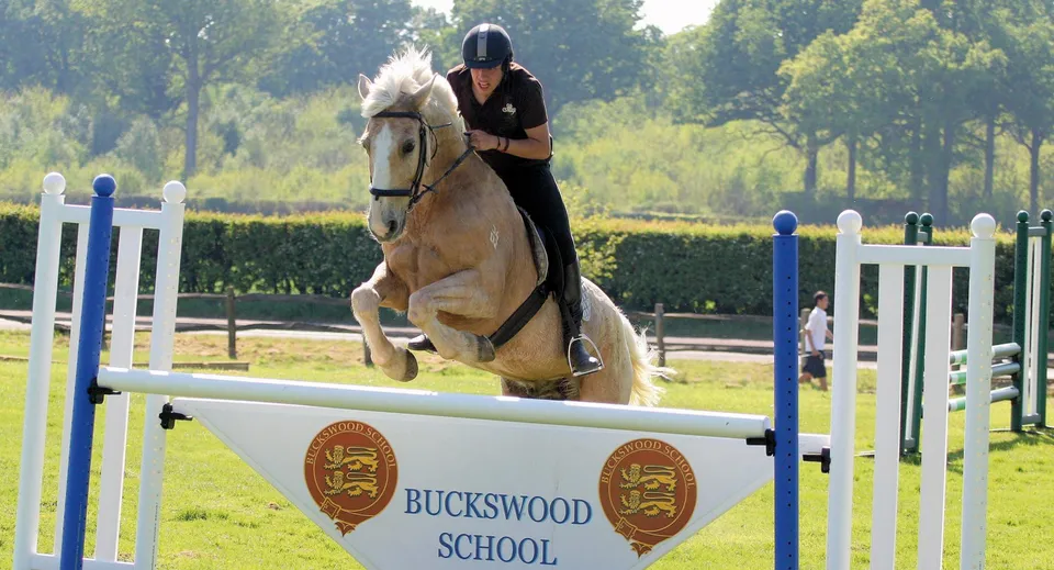 Uno studente o una studentessa della Buckswood School cavalca un cavallo chiaro oltre un ostacolo in un impianto esterno recintato.