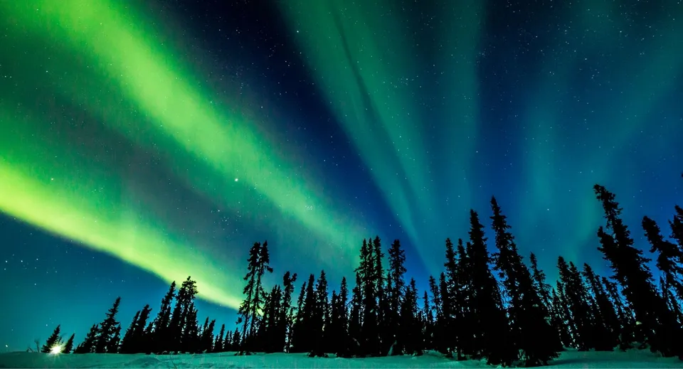L'aurora boreale risplende sopra una foresta di conifere vicino alla Creston Valley Secondary School.