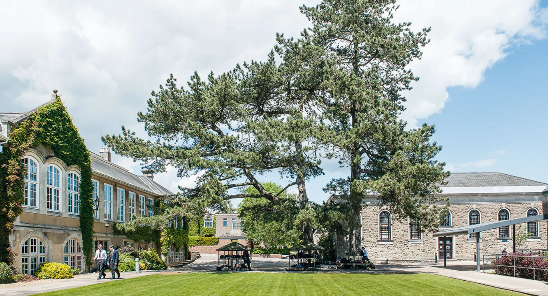Un grande pino su un prato verde davanti a un edificio in pietra con finestre ad arco nel campus della Sevenoaks School.