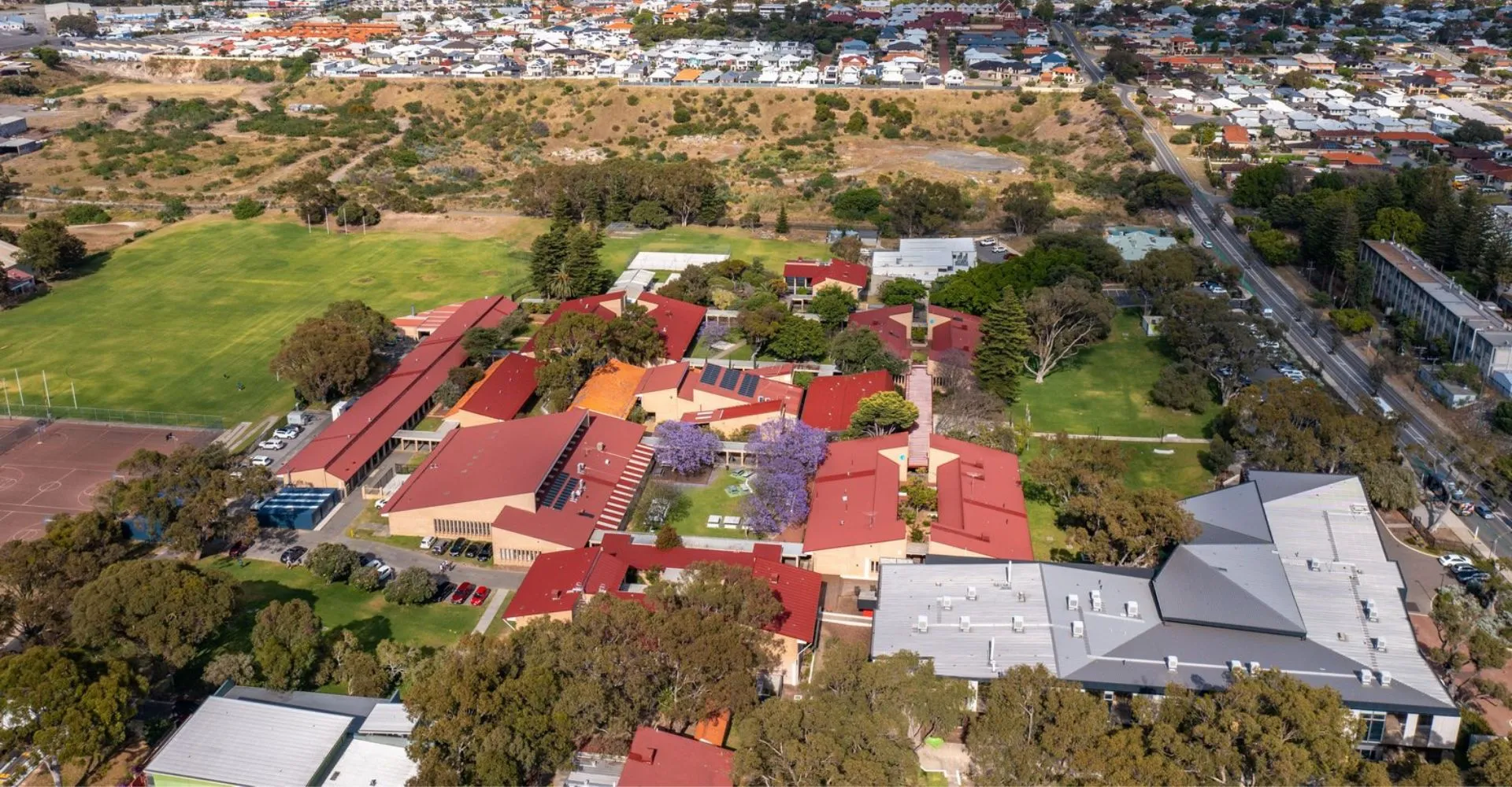 Una zona residenziale con tetti rossi e molto verde in un contesto collinare vicino al Fremantle College.