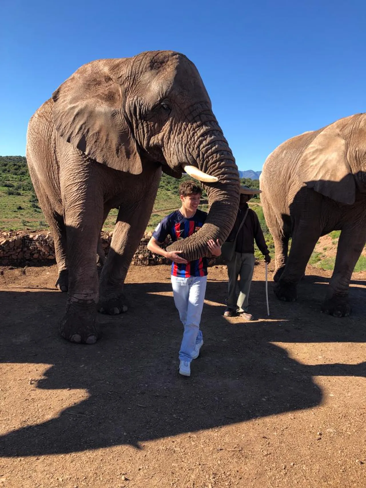 Studente accarezza la proboscide di un elefante in una riserva in Sudafrica