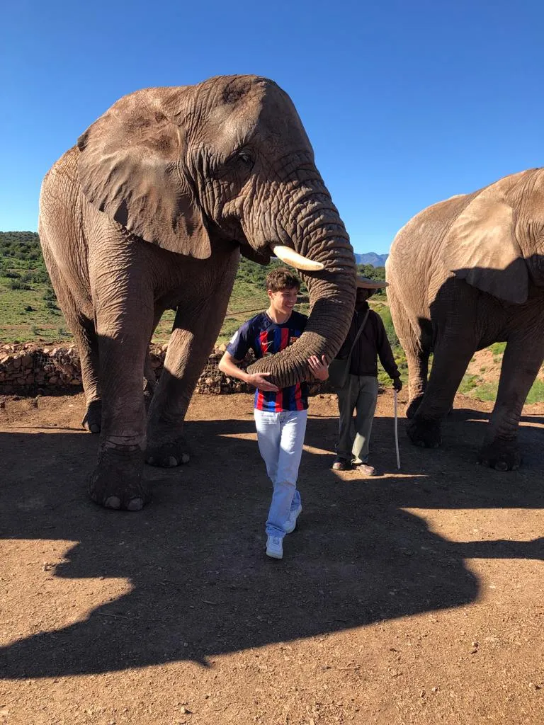 Studente accarezza la proboscide di un elefante in una riserva in Sudafrica