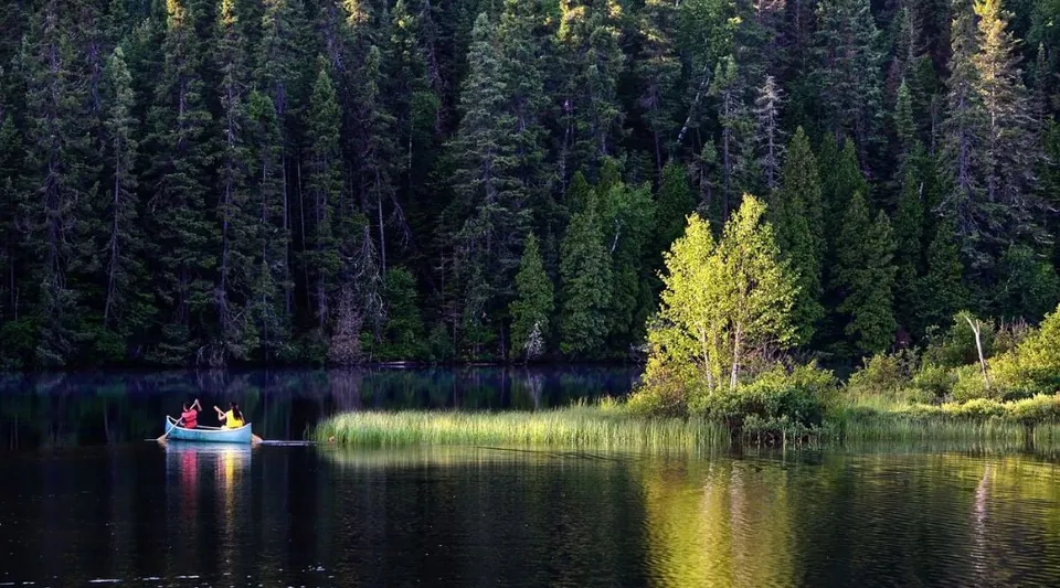 Una piccola barca si trova su un lago calmo vicino a un bosco nel terreno della Beurling Academy.