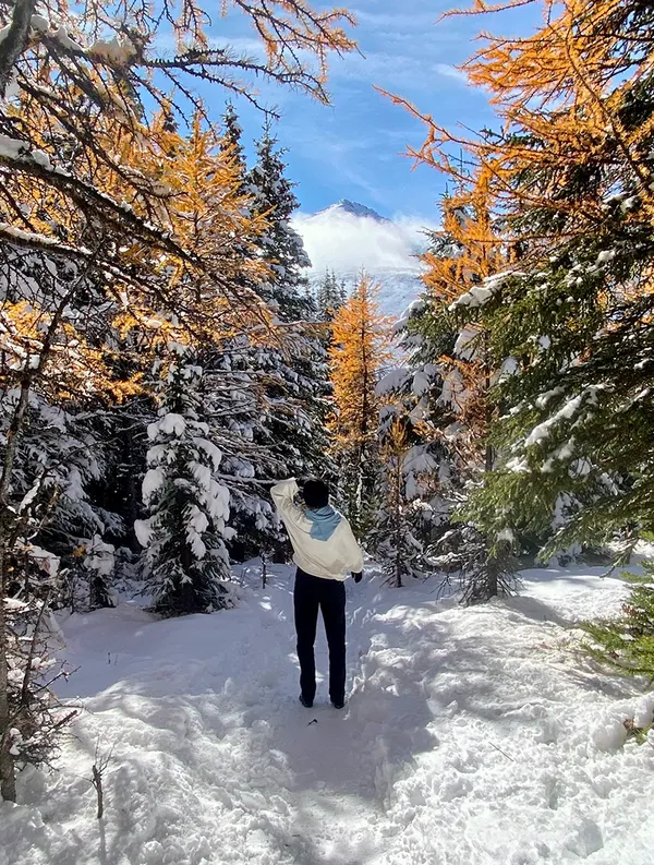 Persona de espaldas en un bosque nevado con alerces dorados y una montaña al fondo