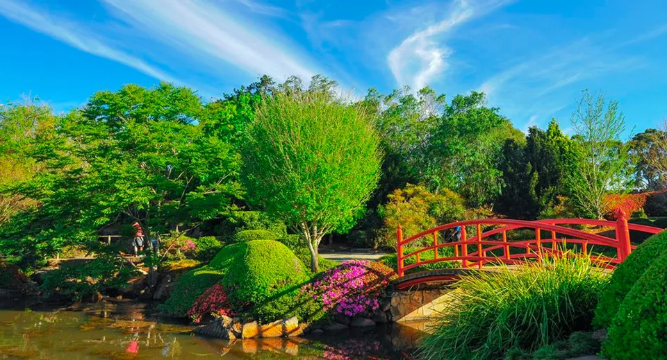 Un ponte di legno rosso su un laghetto nel giardino del campus della Toowoomba Anglican School.