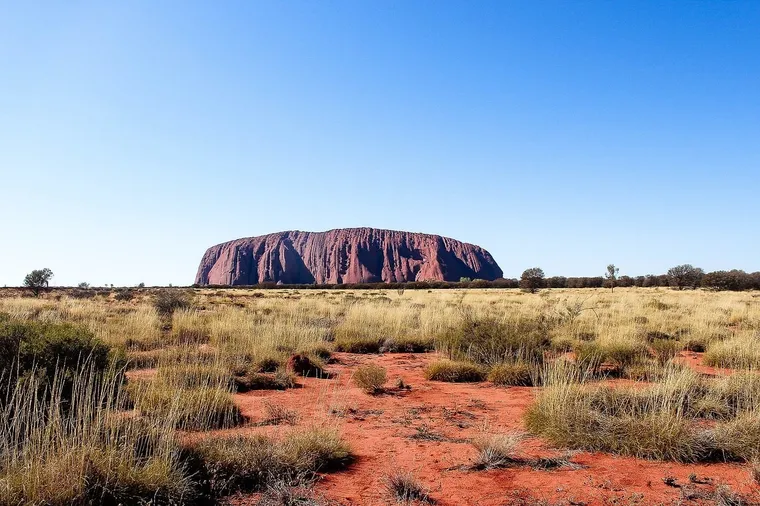 Uluru ragt aus der roten Buschlandschaft unter wolkenlosem Himmel