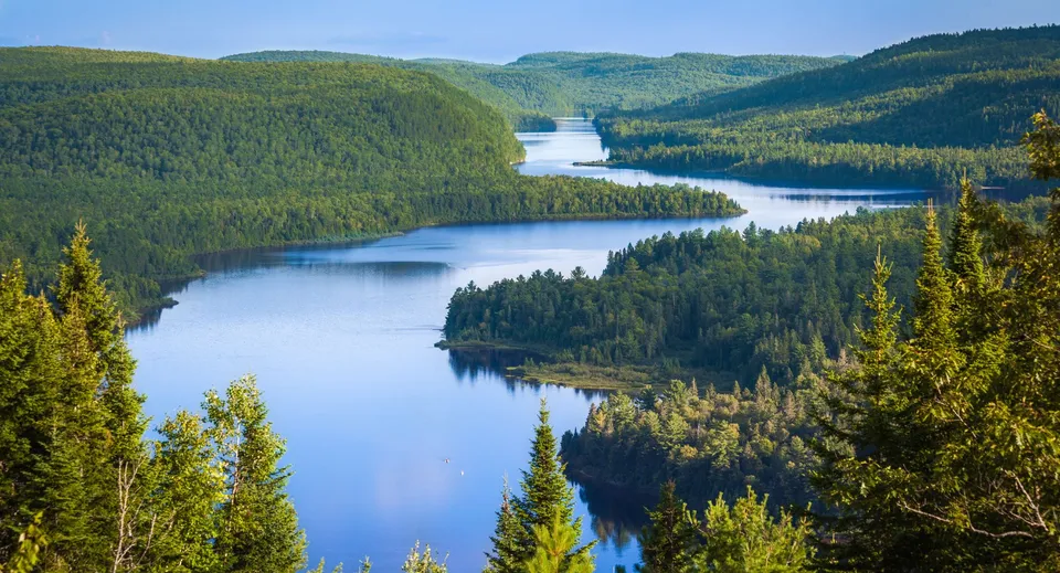 Un fiume sinuoso si snoda tra verdi colline alberate nella regione dell'Athol Murray College of Notre Dame.