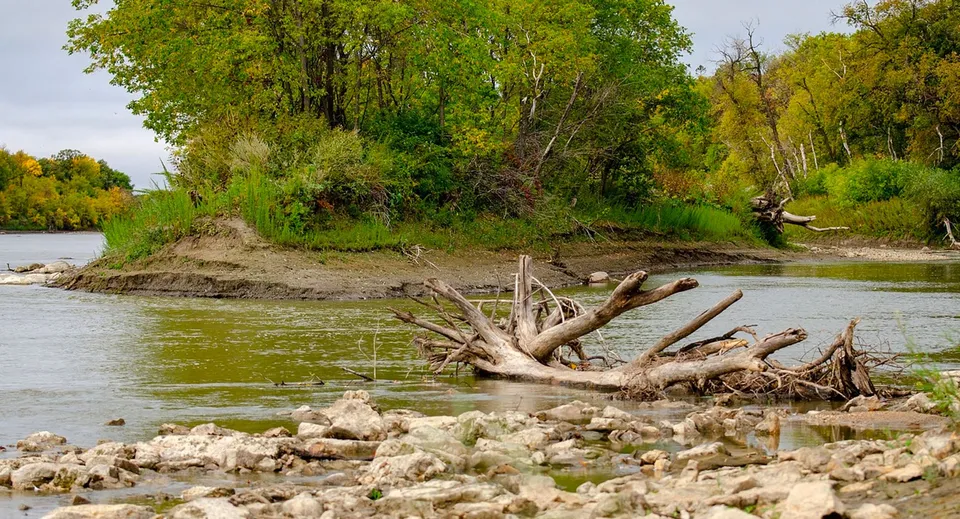 Un fiume tranquillo scorre attraverso un paesaggio verde lungo il campus del Kildonan East Collegiate.