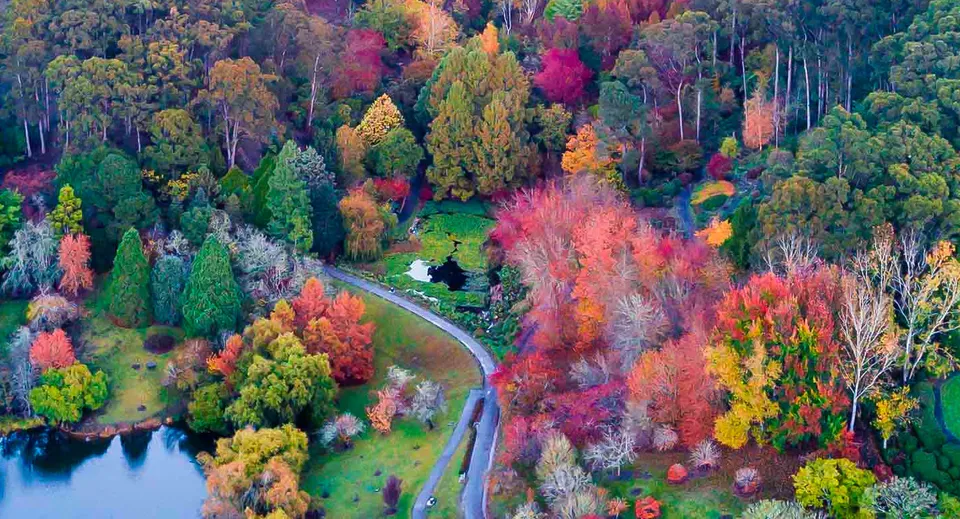 Una strada tortuosa attraversa un bosco autunnale con alberi colorati e un tranquillo specchio d'acqua vicino alla Salisbury East High School.