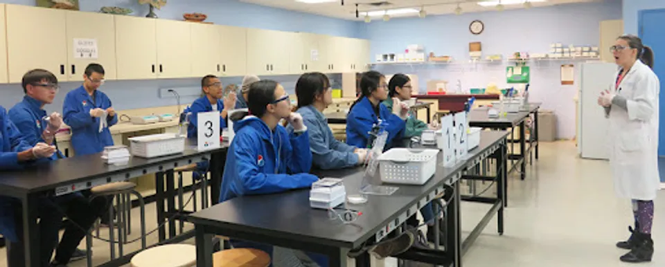 Studenti della Metro International Secondary Academy siedono in classe ai banchi con materiale didattico.