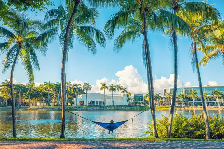 Panoramica di Miami tra palme, natura tropicale e architettura moderna, con vista sul lago sotto il cielo azzurro della Florida.