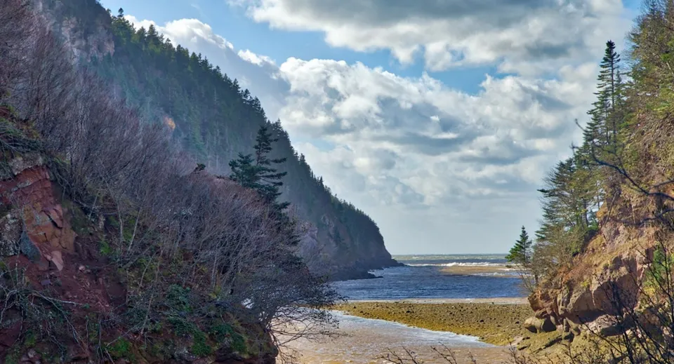 Una costa rocciosa con spiaggia sabbiosa e fitte foreste di conifere sotto un cielo nuvoloso vicino alla Leo Hayes High School.